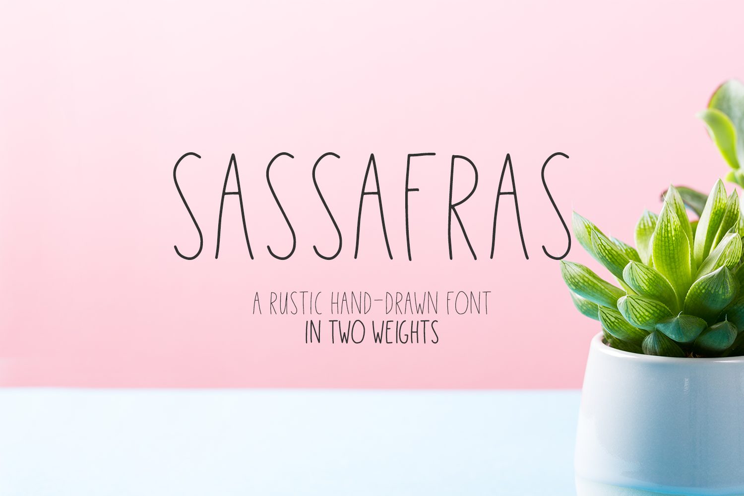 Sassafras Sans - Regular and Bold Weights