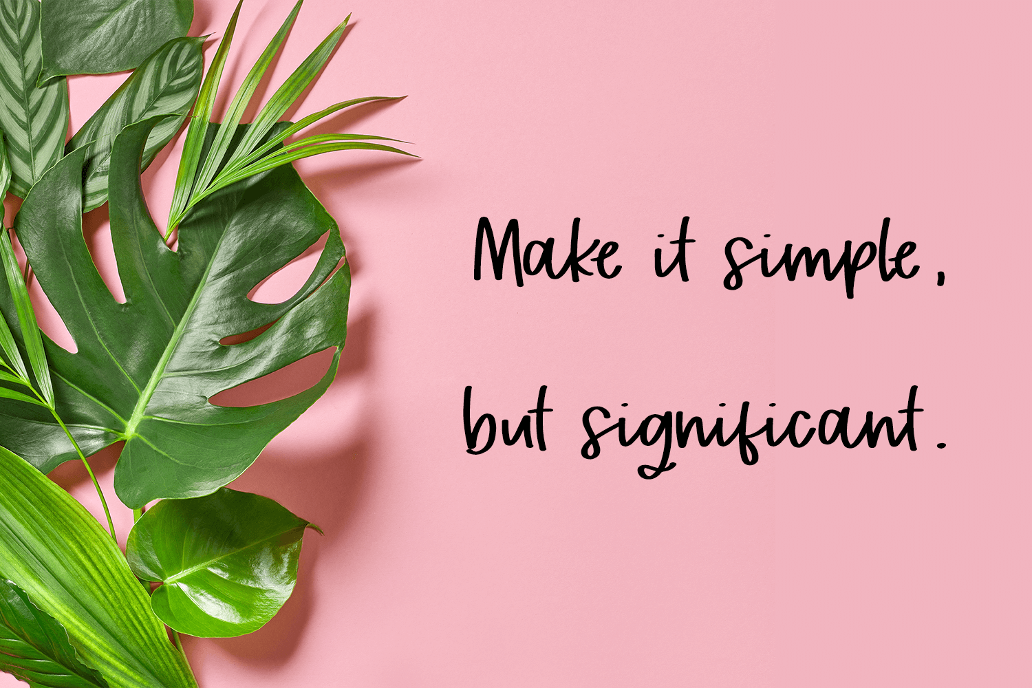 Tropical Trail Script