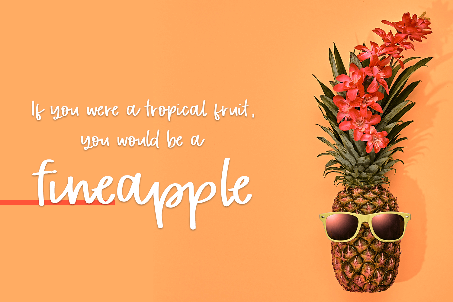 Tropical Trail Script