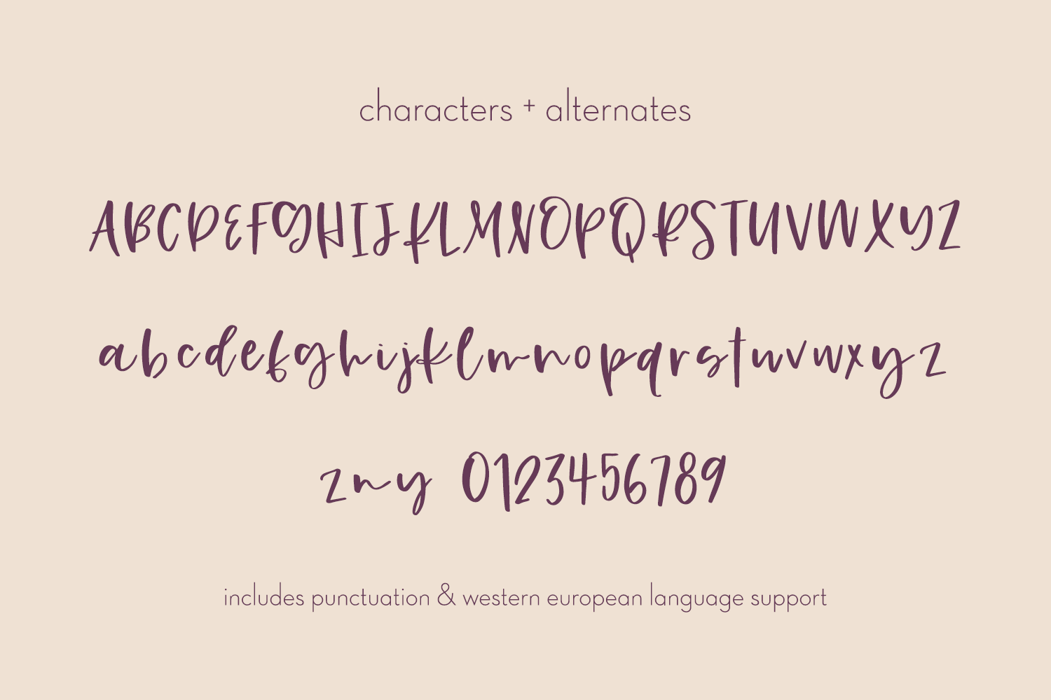 Gingersnap Script Font - Image 10