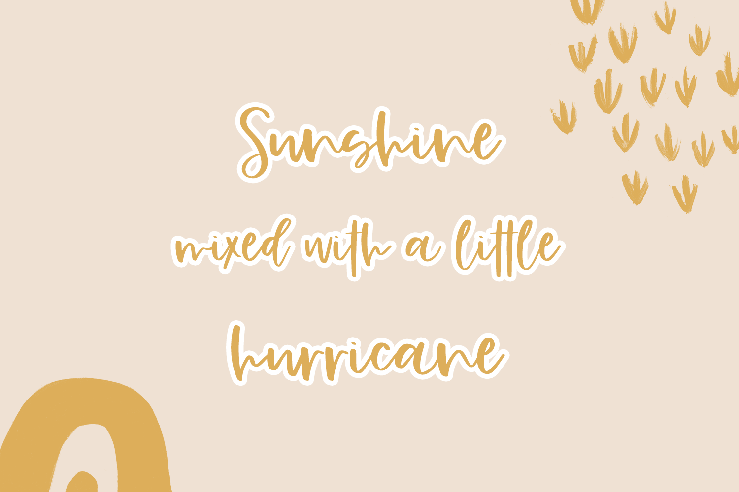 Gingersnap Script Font - Image 8