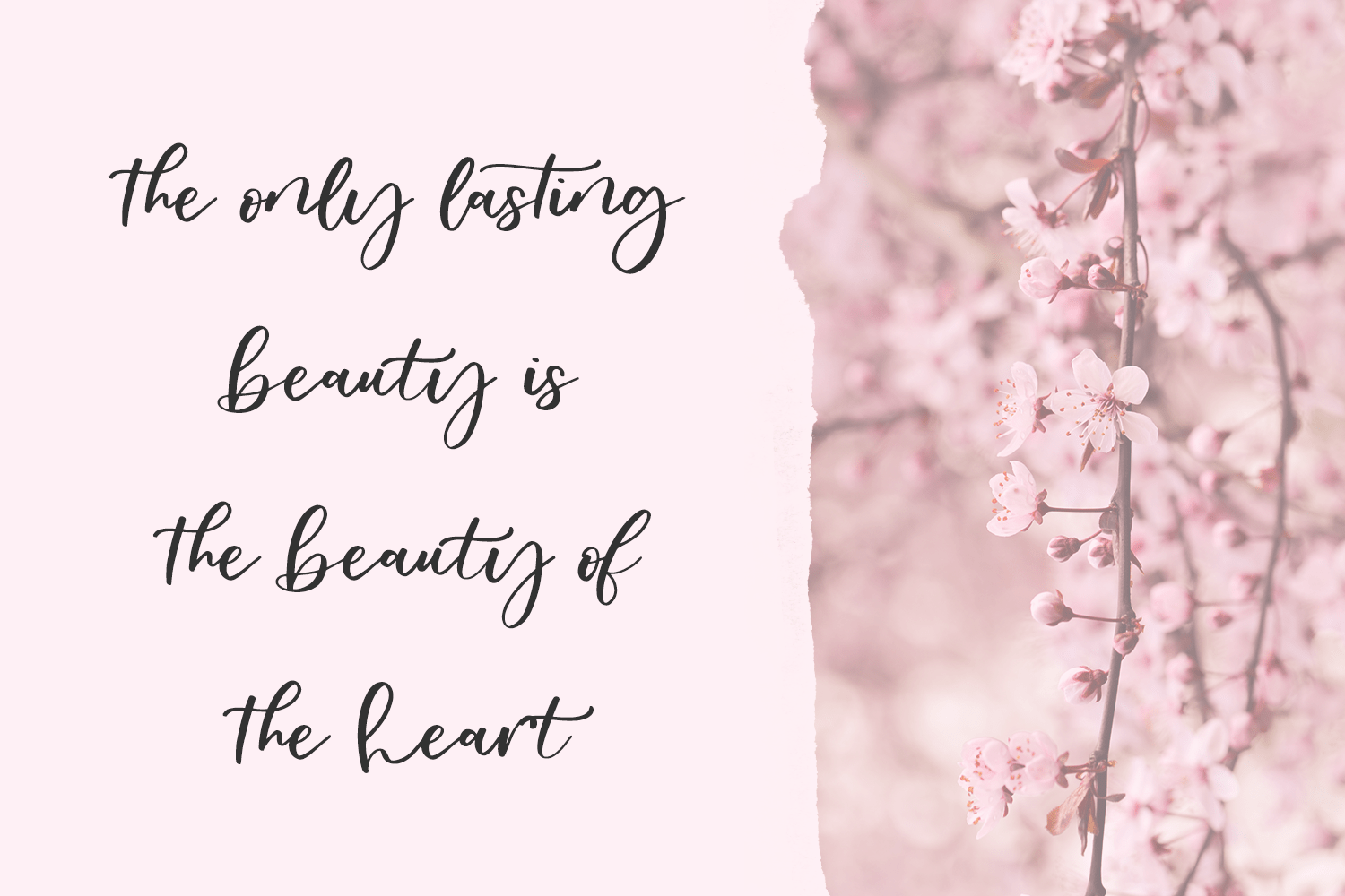 Oakley May Script Font - Image 5