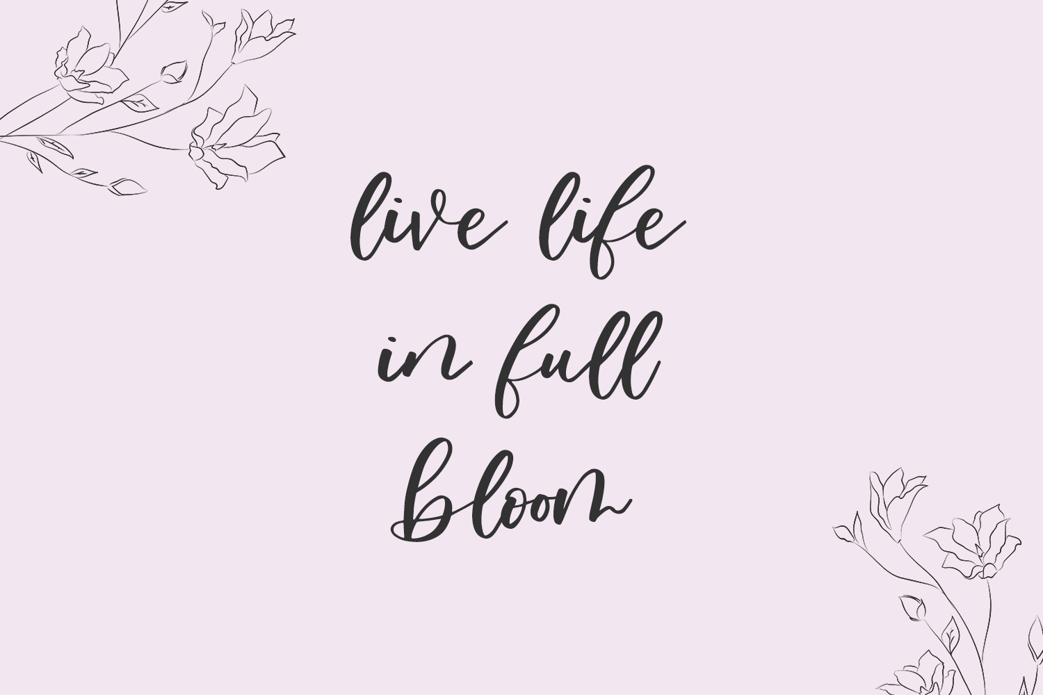 Oakley May Script Font - Image 7