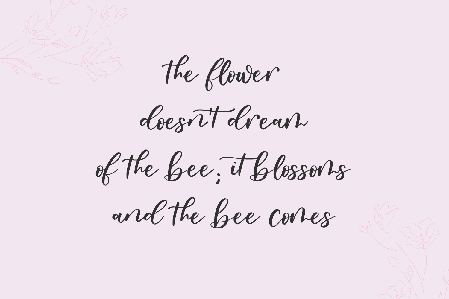 Oakley May Script Font - Image 9