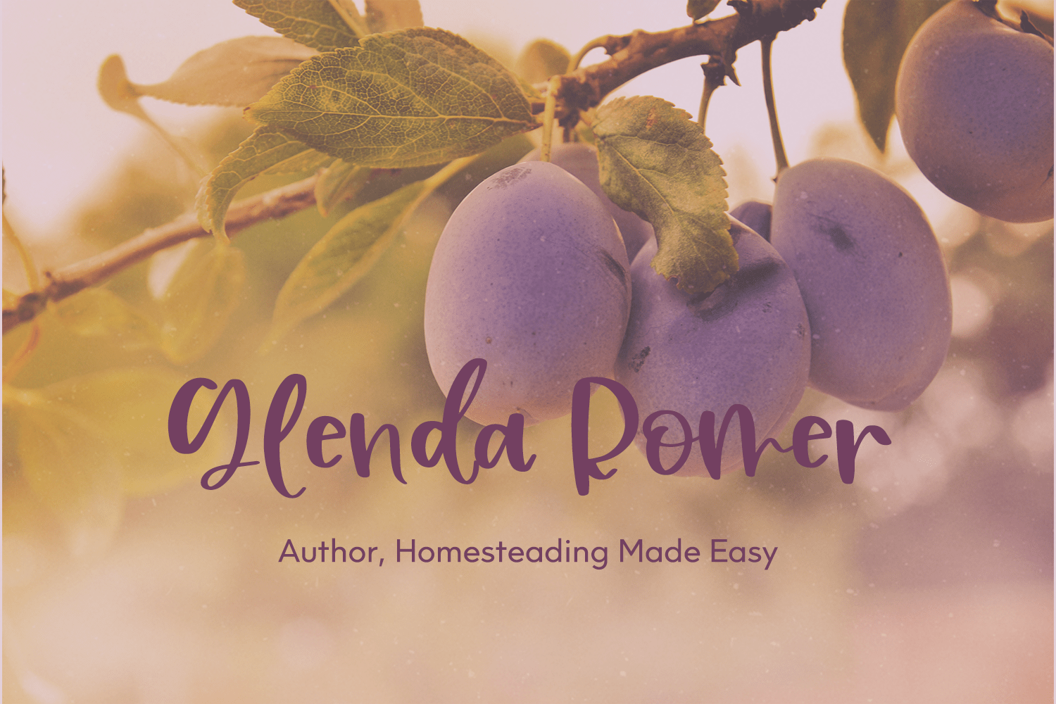 Plum Cobbler Script Font - Image 9