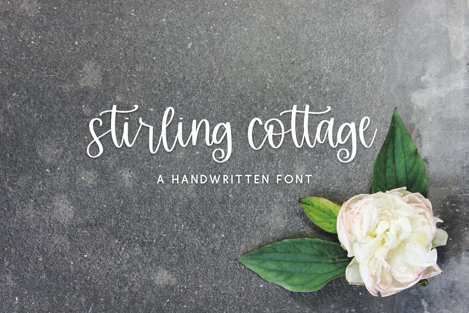 Stirling Cottage Script
