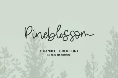 Pineblossom Script