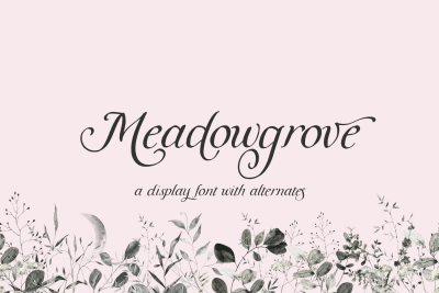 Meadowgrove Calligraphy Display Font