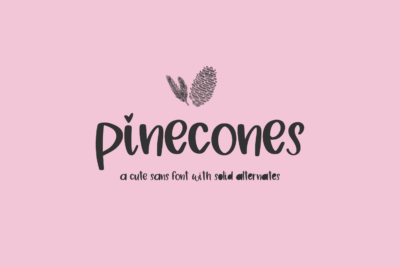 Pinecones Sans